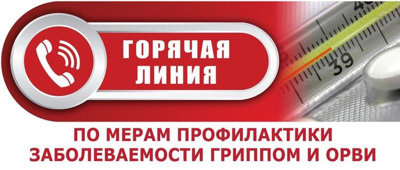 В Курской области работает горячая линия по вопросам профилактики гриппа и ОРВИ. Консультацию специалистов можно получить до 11 октября