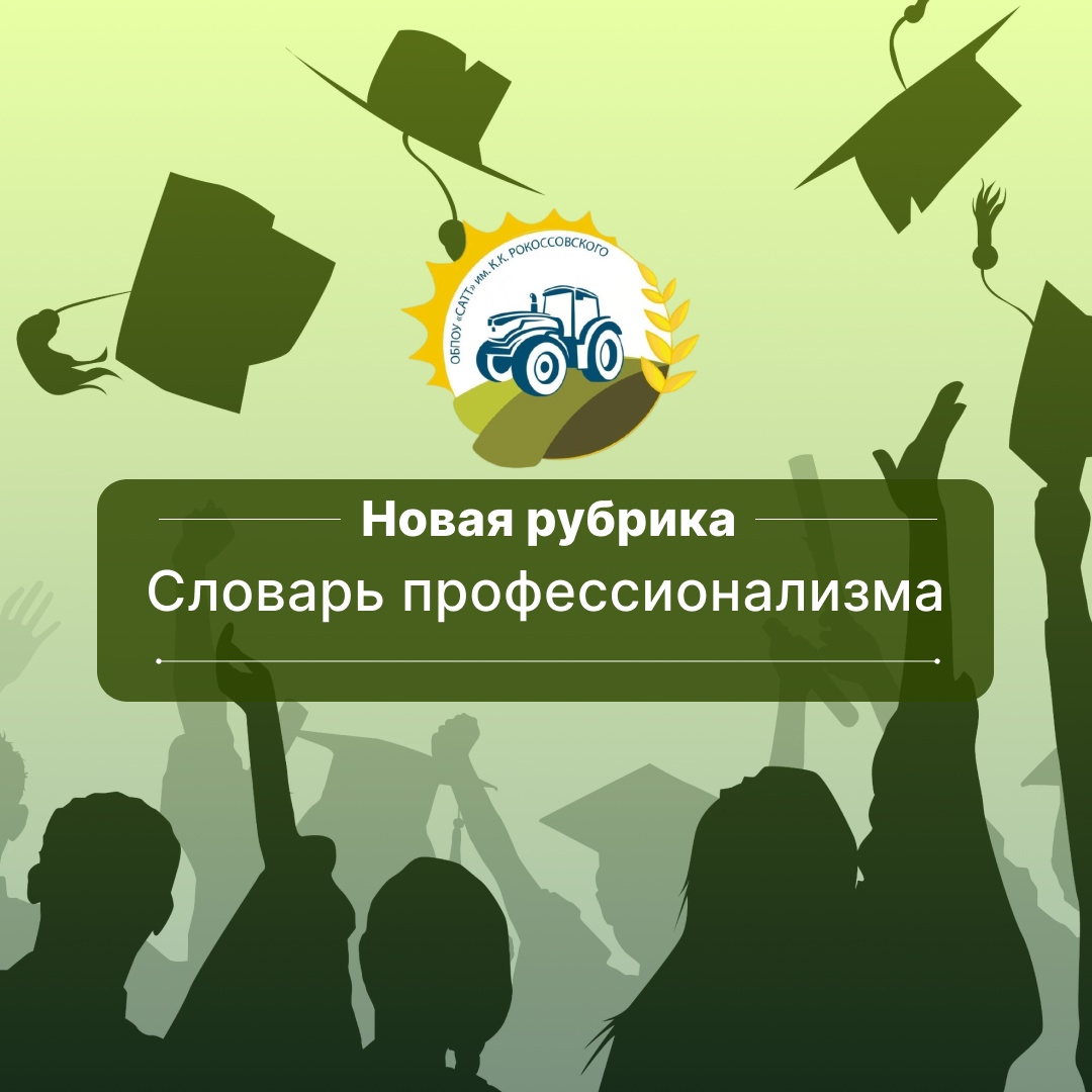 «Словарь профессионализма»