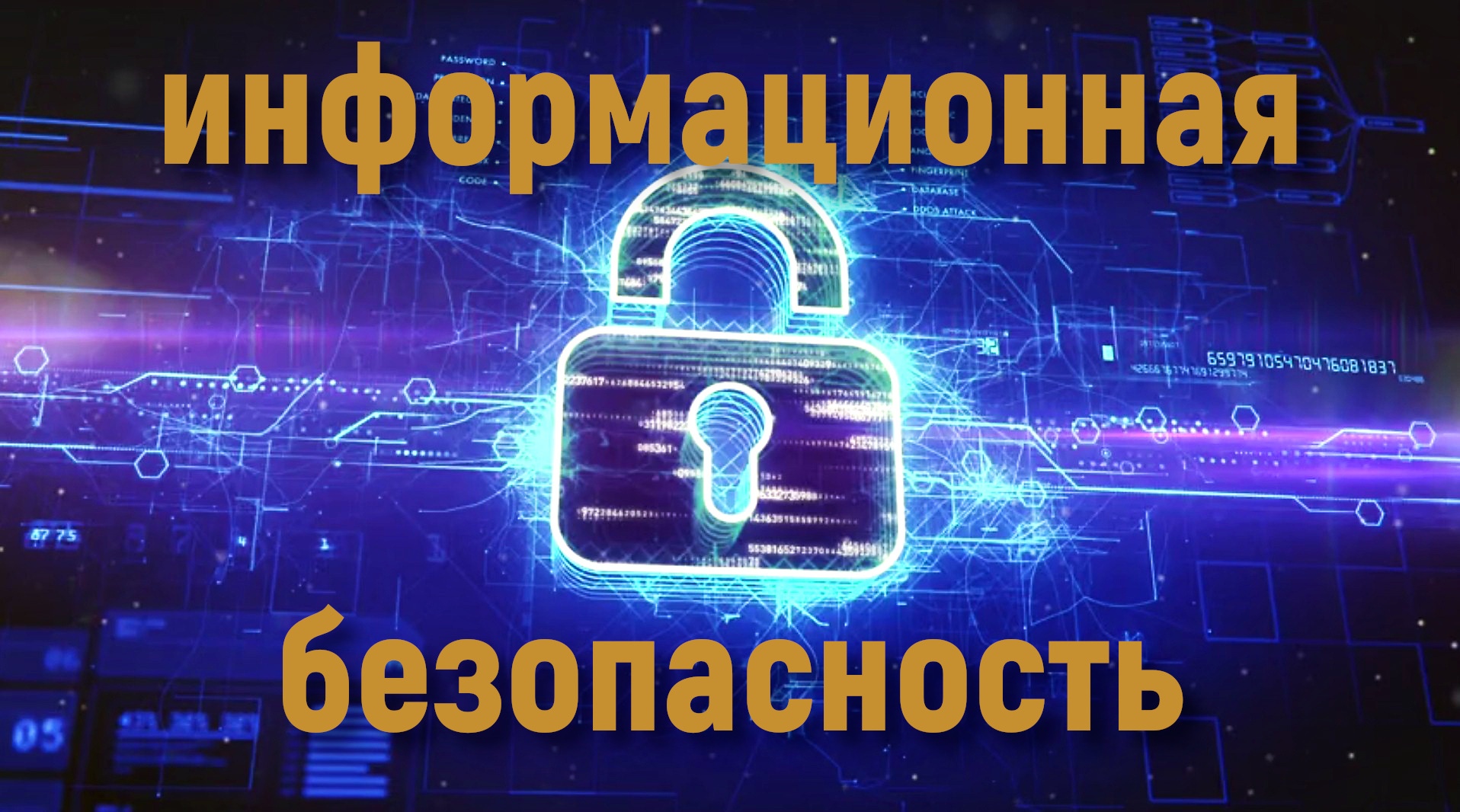 Дети и безопасность в сети: как защитить школьников от мошенников
